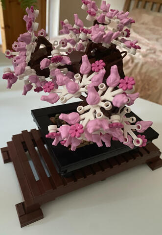 Bonsai